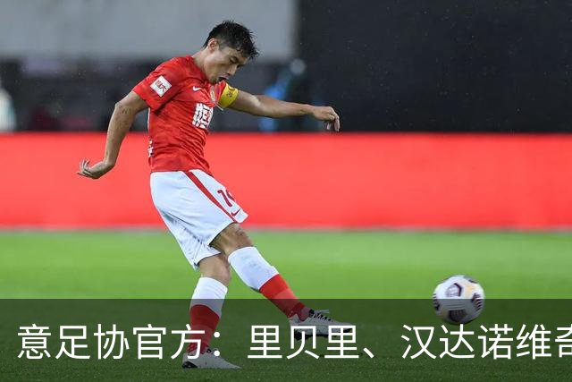 意足协官方：里贝里、汉达诺维奇，迪亚曼蒂等获欧足联职业教练证